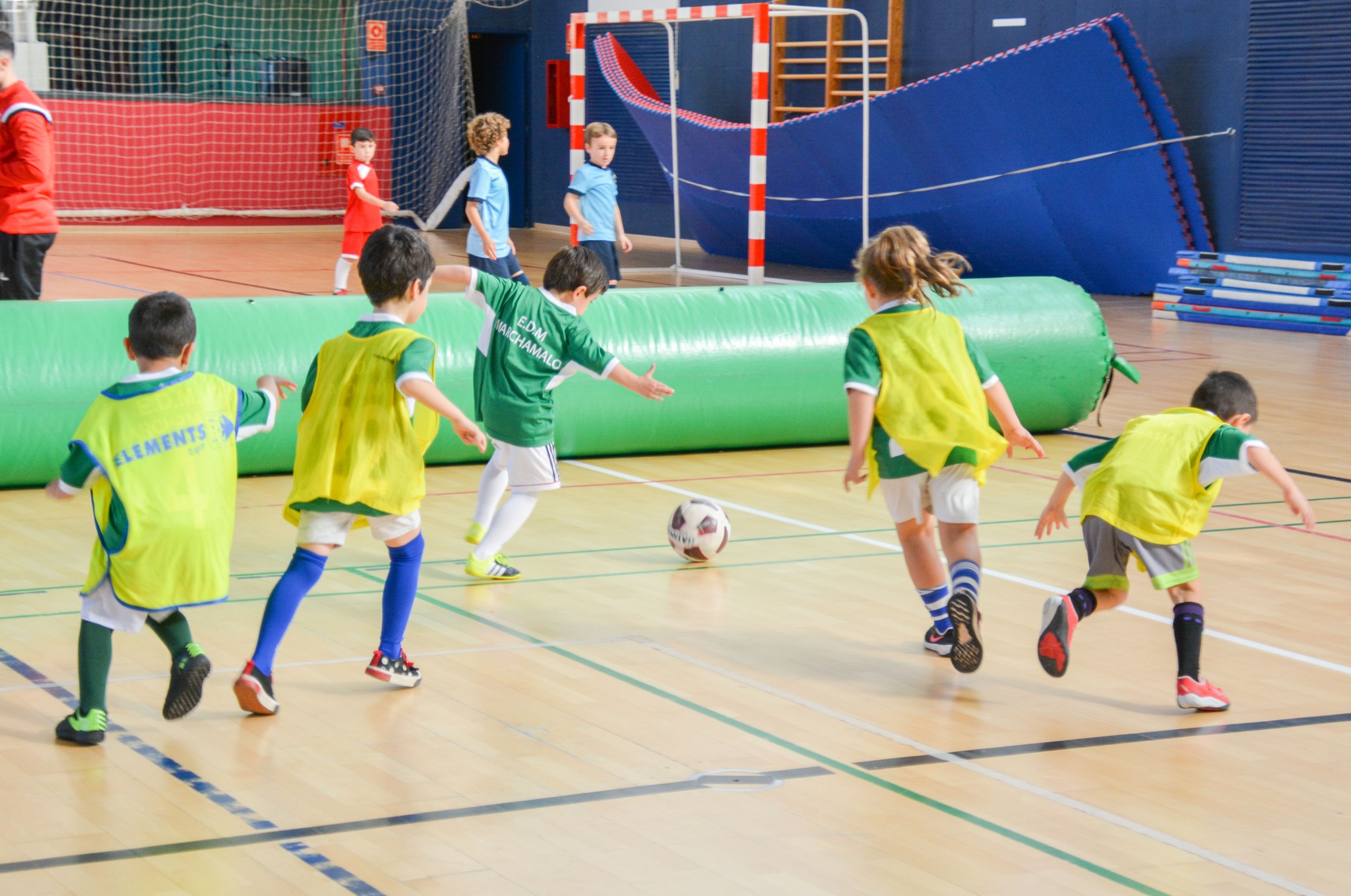 La Liga Futuros Campeones De F Tbol Sala Da El Pistoletazo