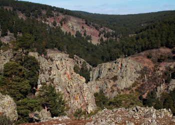 Un proyecto promueve industria maderera sostenible para fijar población rural en Orea (Guadalajara) y Orihuela del Tremedal (Teruel)
