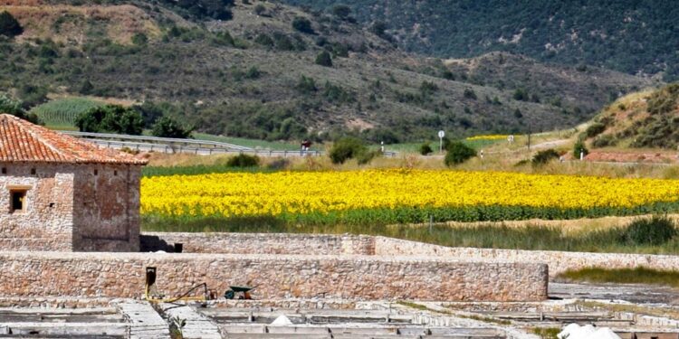 El Gobierno de CLM invierte más de un millón de euros en obras de rehabilitación del Monasterio de Monsalud y las Salinas de Saelices de la Sal