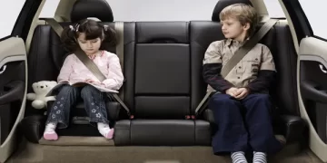 Uso correcto del cinturón de seguridad, Campaña de la DGT