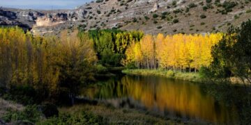 Descubre el Paraje Natural Protegido de Somolinos en la Sierra Norte de Guadalajara