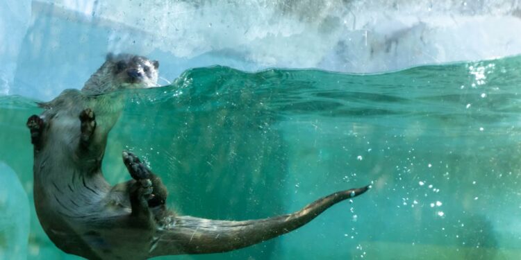 Castilla-La Mancha refuerza su Red de Educación Ambiental con un nuevo espacio en Guadalajara