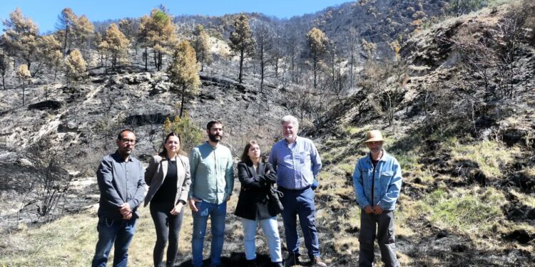 Unidas Podemos insiste en una ley de cambio climático tras el incendio de Guadalajara