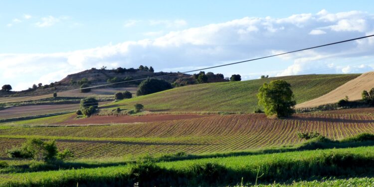 Las reducciones de los índices de rendimiento neto del IRPF beneficiarán a agricultores y ganaderos en Castilla-La Mancha