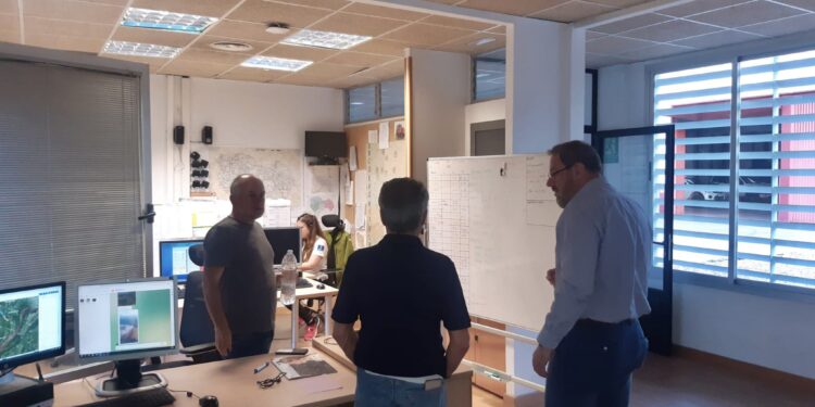 Declarado un incendio forestal arbolado en Ocentejo (Guadalajara)