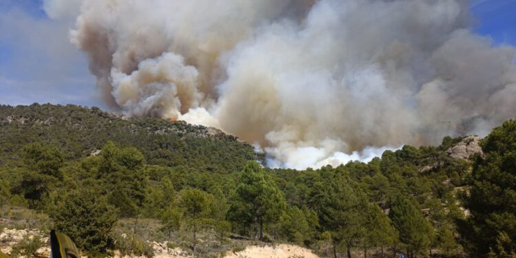 Declarado un incendio forestal arbolado en Ocentejo (Guadalajara)