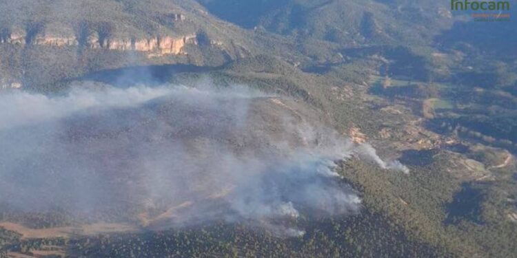 Declarado un incendio forestal arbolado en Ocentejo (Guadalajara)