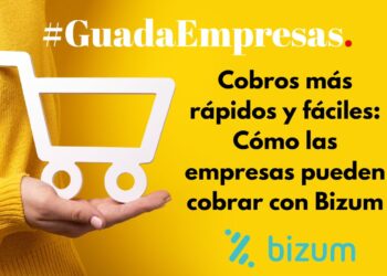 Cobros más rápidos y fáciles: Cómo las empresas pueden cobrar con Bizum