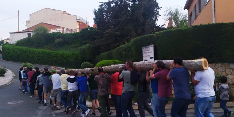 Espinosa de Henares revive la tradición de Plantar el Mayo en la Plaza del Ayuntamiento