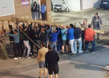Recuperada la tradición de plantar el Mayo en Espinosa de Henares después de una década