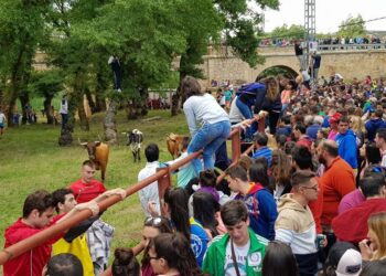 "Vacas al Henares 2023": La tradición taurina vuelve a Espinosa de Henares