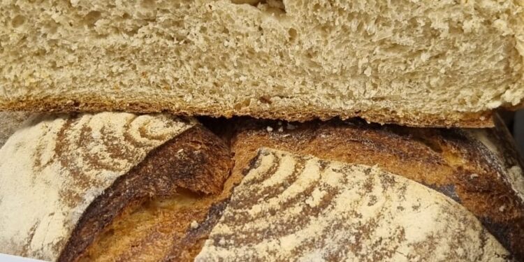 Ciclo de catas ‘Ibercatas’ promueve la marca ‘Alimentos de Guadalajara’ y apoya a productores locales