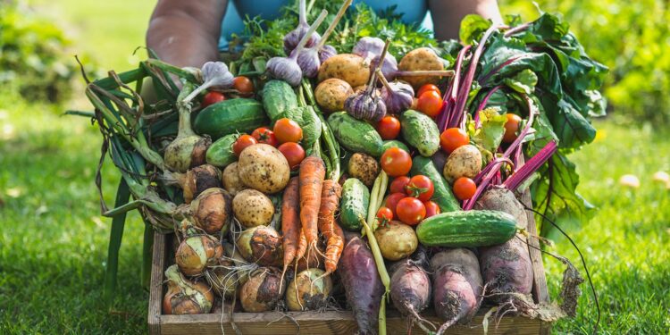 Grandes empresas agroalimentarias aumentan beneficios mientras productores y consumidores sufren