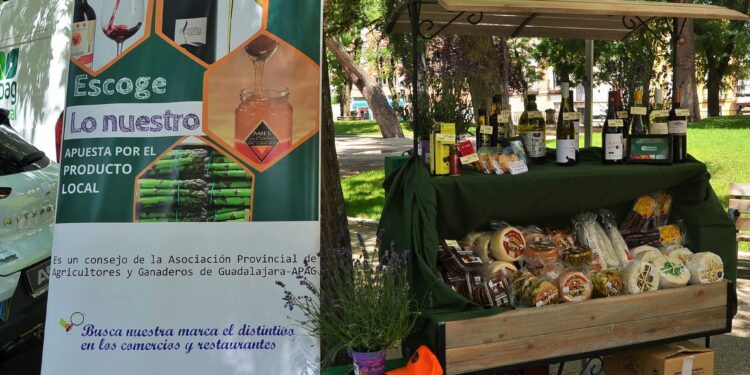 Celebración del 25 Aniversario de ATICA