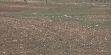 Orden de Vedas en Castilla-La Mancha