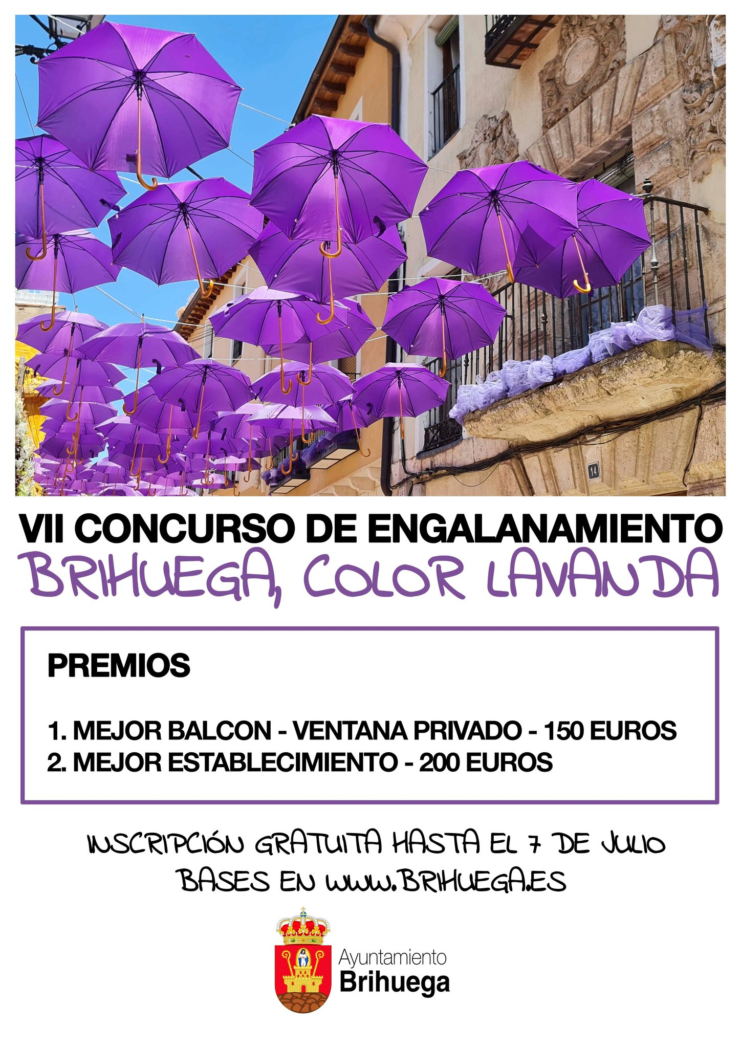 Participa en el VII Concurso de Engalanamiento 'Brihuega Color Lavanda' y decora tu balcón o comercio