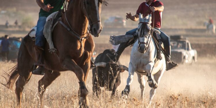 Cinco Días de Fiesta en Marchamalo