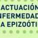 Castilla-La Mancha ante la Enfermedad Hemorrágica Epizoótica: Lo que debes saber