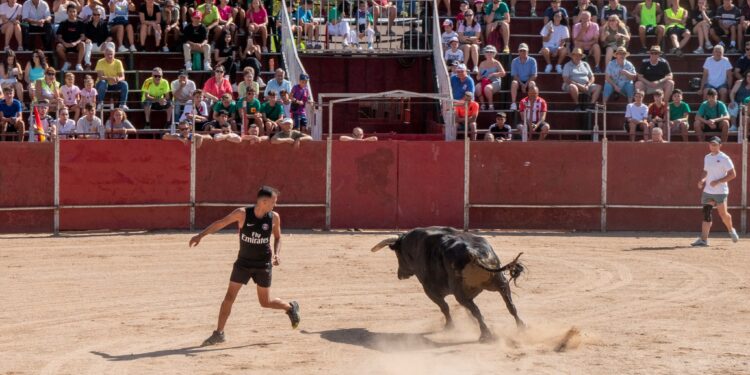 Cinco Días de Fiesta en Marchamalo