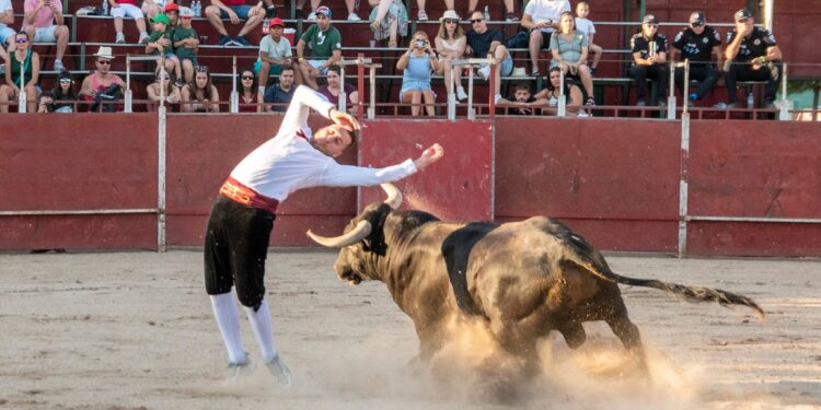 Cinco Días de Fiesta en Marchamalo: Música, Toros y Agradecimientos en una Celebración Multitudinaria