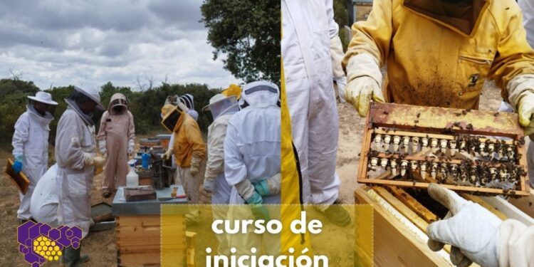 curso de iniciacion a la apicultura asoc apicultores de Guadalajara