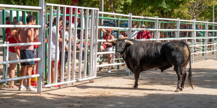 Cinco Días de Fiesta en Marchamalo