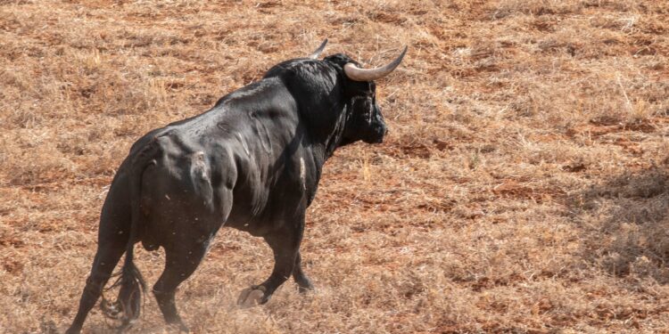 Cinco Días de Fiesta en Marchamalo