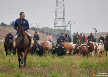 Bajada de Yunquera de Henares: Tradición bajo la Lluvia se Celebra sin Contratiempos