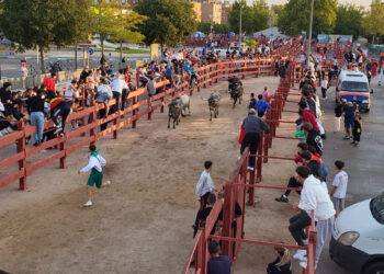 Venta de Entradas y Abonos para la Feria Taurina de las Fiestas en Azuqueca de Henares
