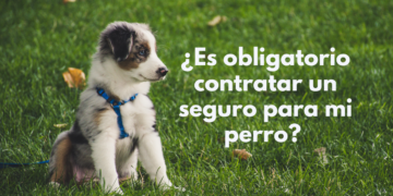 seguro para perros es obligatorio