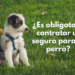 seguro para perros es obligatorio