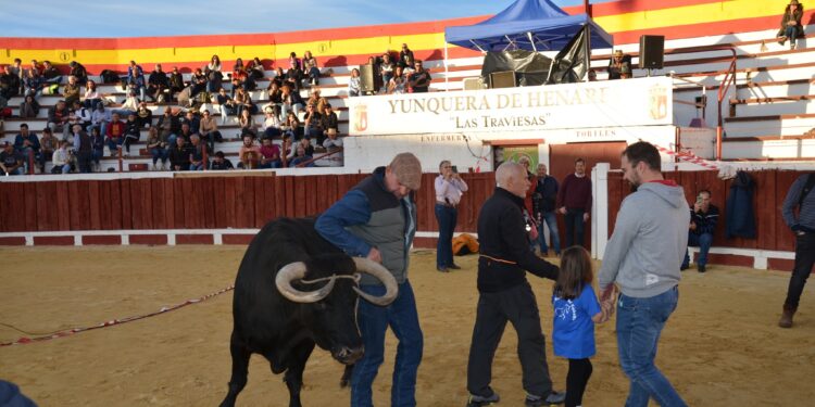 El II Congreso Internacional del Manejo Natural del Caballo, celebrado en Yunquera de Henares, concluye con una destacada participación de expertos en el mundo equino. Charlas teóricas y prácticas abordaron áreas clave como alimentación, cuidados, manejo y competición.