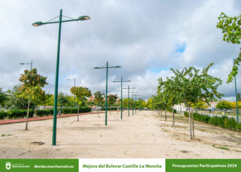 Marchamalo Decide: Cuatro Proyectos Elegidos por Votación Popular para el Presupuesto 2024