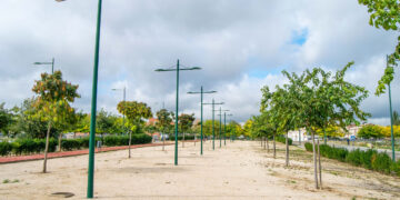 Marchamalo Decide: Cuatro Proyectos Elegidos por Votación Popular para el Presupuesto 2024