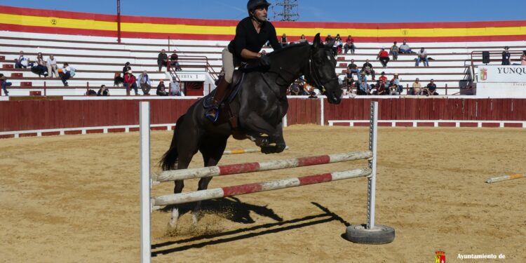 El II Congreso Internacional del Manejo Natural del Caballo, celebrado en Yunquera de Henares, concluye con una destacada participación de expertos en el mundo equino. Charlas teóricas y prácticas abordaron áreas clave como alimentación, cuidados, manejo y competición.