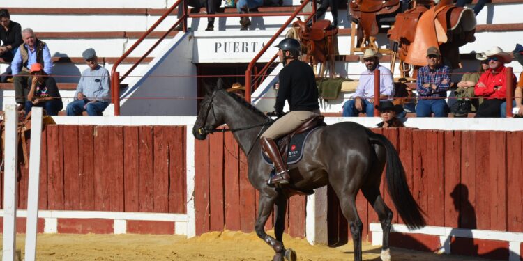 El II Congreso Internacional del Manejo Natural del Caballo, celebrado en Yunquera de Henares, concluye con una destacada participación de expertos en el mundo equino. Charlas teóricas y prácticas abordaron áreas clave como alimentación, cuidados, manejo y competición.