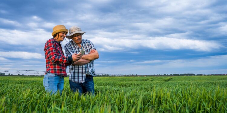 Agricultura Sostenible: Ecorregímenes Impulsan la Siembra Directa con Éxito