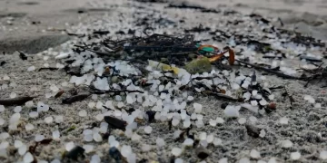 Análisis del Riesgo Ambiental: Expertos de la UAH Evalúan Impacto del Vertido de Microplásticos Plásticos en el Atlántico