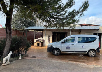 Servicio 24 Horas de Rescate Animal en Guadalajara: ¡Más de 100 Intervenciones y 20 Adopciones en 2023!