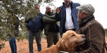 Ayudas Empresariales en Castilla-La Mancha: Apoyo a Zonas Despobladas