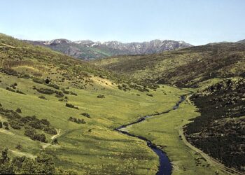 Calendario de Primavera en la Sierra de Guadalajara