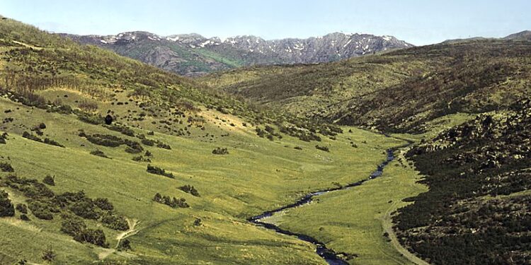 Calendario de Primavera en la Sierra de Guadalajara