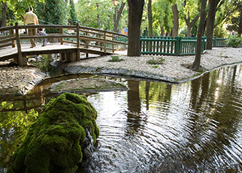 Evaluación de Propuestas para Servicio de Parques y Jardines en Guadalajara