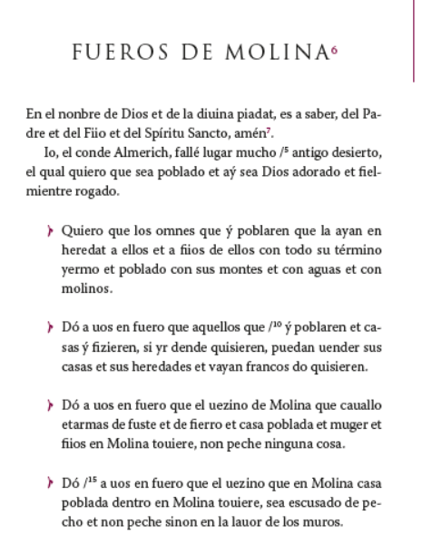 Foto fuero de Molina reescrito. Foto Francisco Larrad