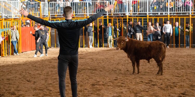 'Toros en Carnaval' Atrae a Multitudes en La Cubierta del Parque de Ferias de Marchamalo