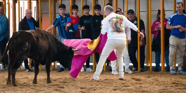 'Toros en Carnaval' Atrae a Multitudes en La Cubierta del Parque de Ferias de Marchamalo