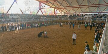'Toros en Carnaval' Atrae a Multitudes en La Cubierta del Parque de Ferias de Marchamalo