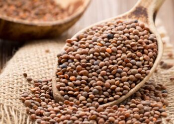 Cogolludo se prepara para el II Día de la Legumbre: ¡Participa en este Festival Culinario!