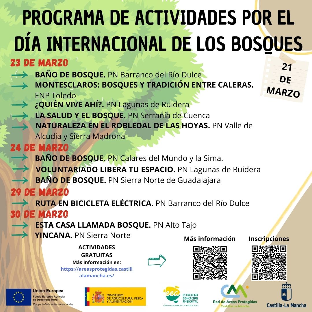 Descubre los Baños de Bosque en Guadalajara este Día Internacional de los Bosques