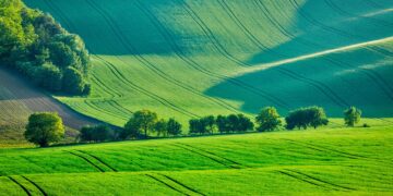 Europa evalúa flexibilizar normas medioambientales en la PAC: Impacto en la Agricultura